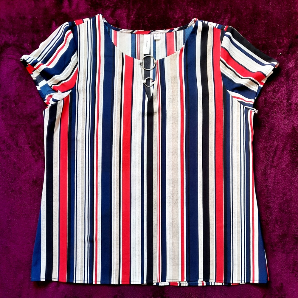 Tacera L Vertical Striped Short Sleeved Blouse